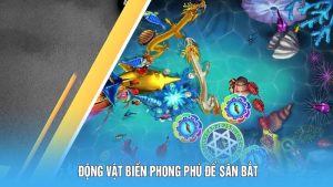 sinh vat bien phong phu 1